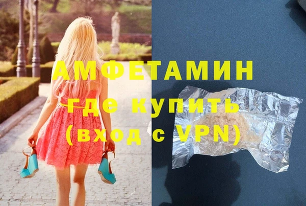 ECSTASY Алзамай