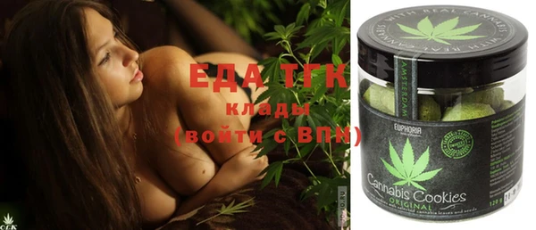 ECSTASY Алзамай