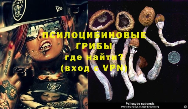 ECSTASY Алзамай