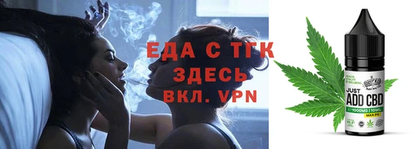 ECSTASY Алзамай