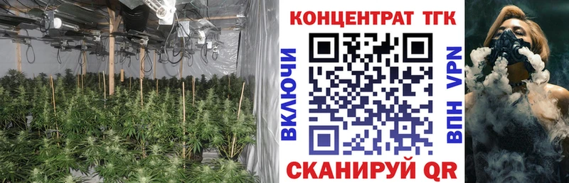 где купить   Аша  ТГК вейп 